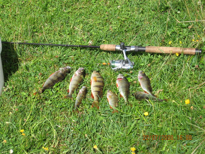 --Netts Crack1_2 -  ()