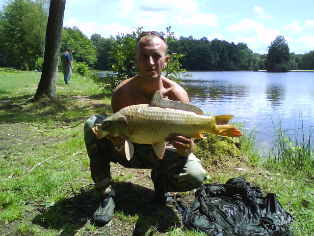 --�������� - ������� (����������)