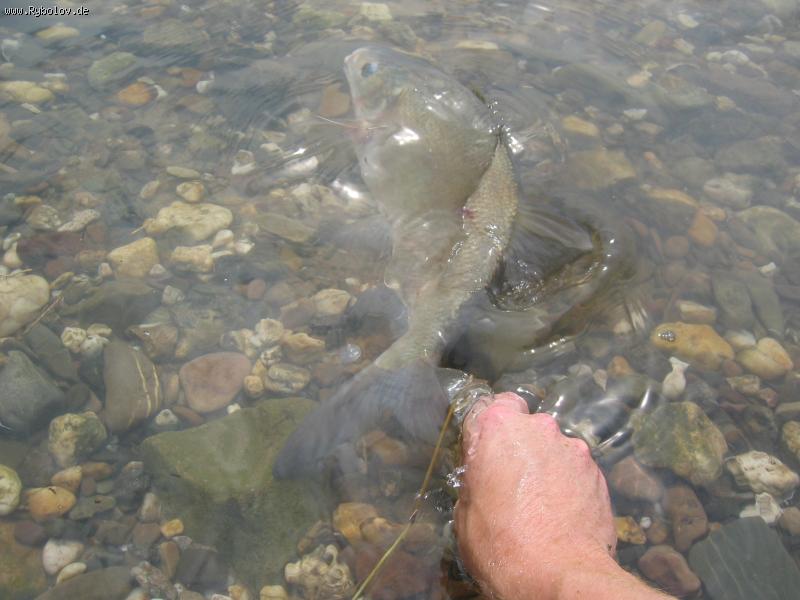 --� ��� �����... - ������� (����������)