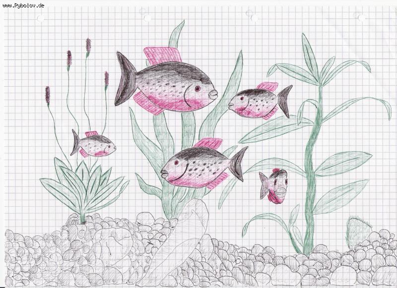 --������� ������� (�� ��� ��������) - ������� (����������)