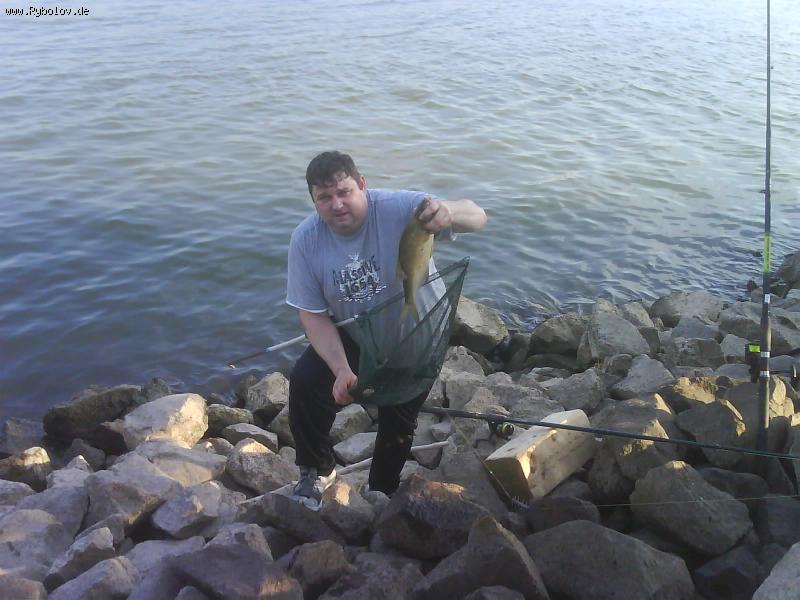 --� ��� � ��� - ������� (����������)