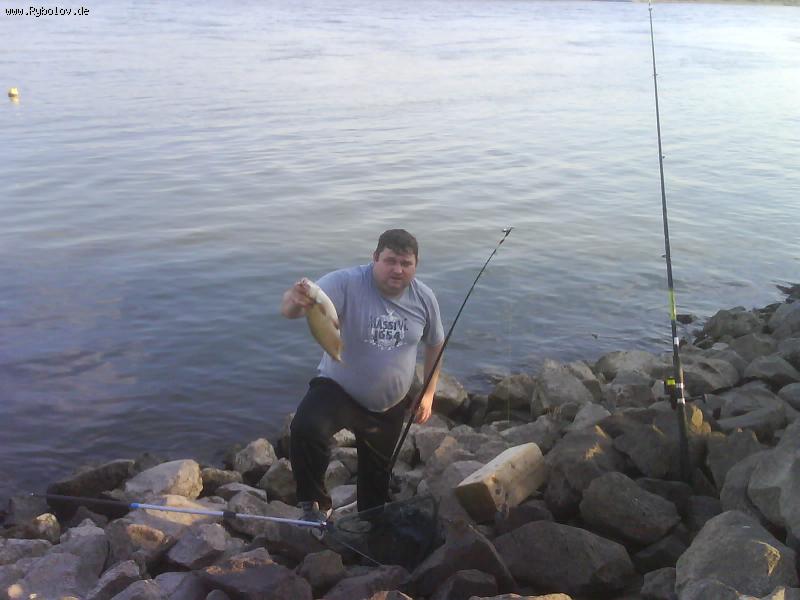 --��������� - ������� (����������)