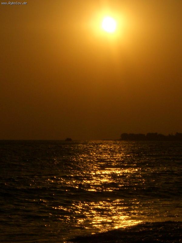 --���� ,������ . - ������� (����������)