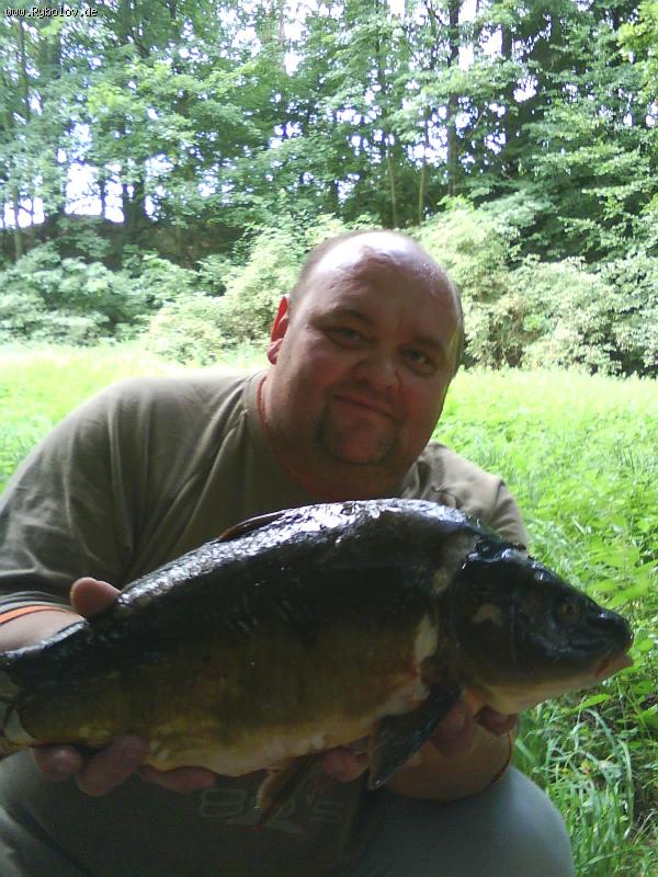 --������ ����� - ������� (����������)