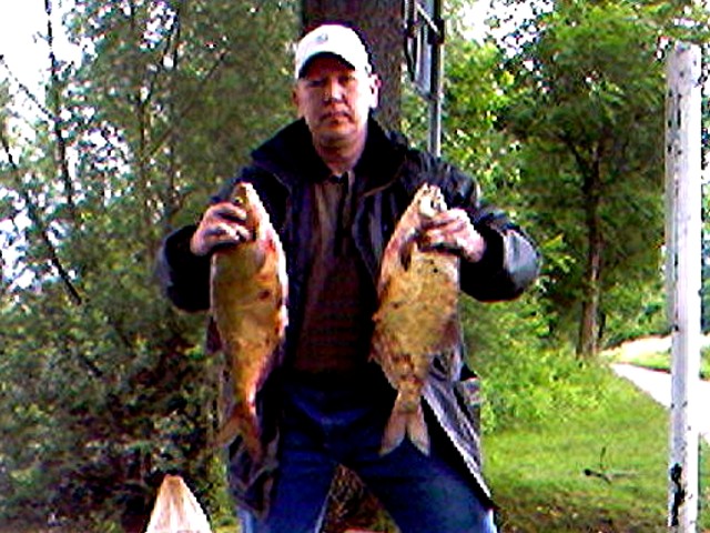 --������ �� 3 ��. - ������� (����������)