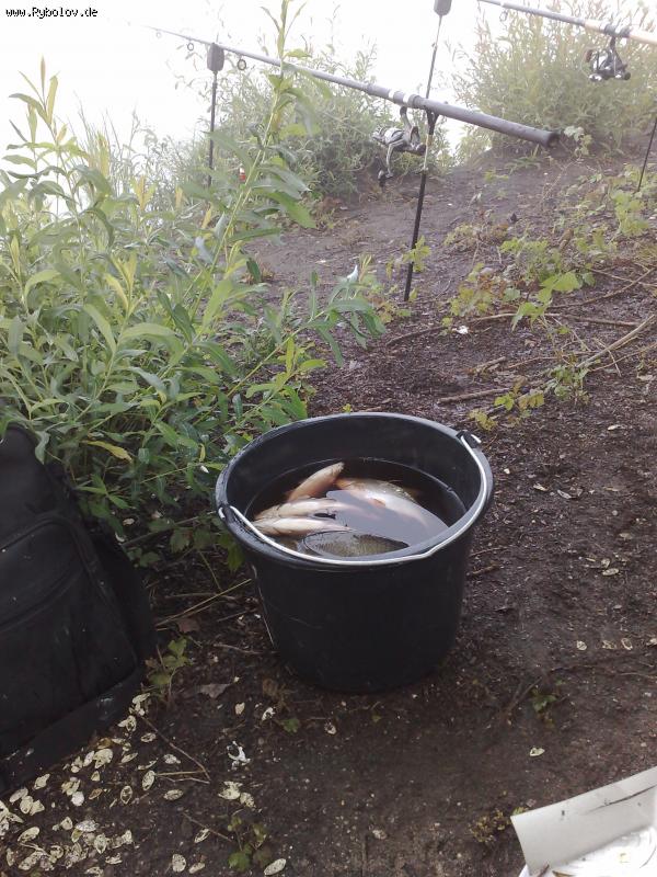 --����� �����! - ������� (����������)