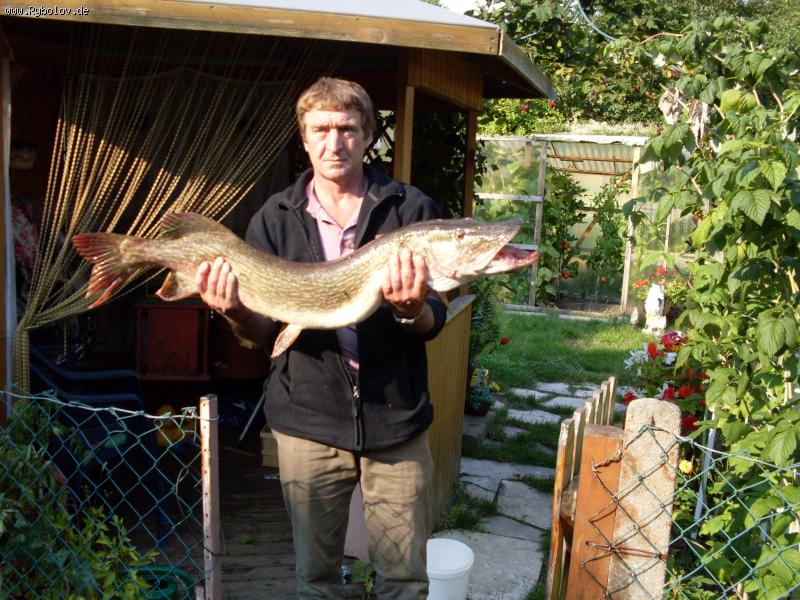 --��������� ���� - ������� (����������)