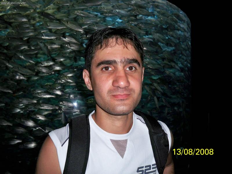 --���� - ������� (����������)