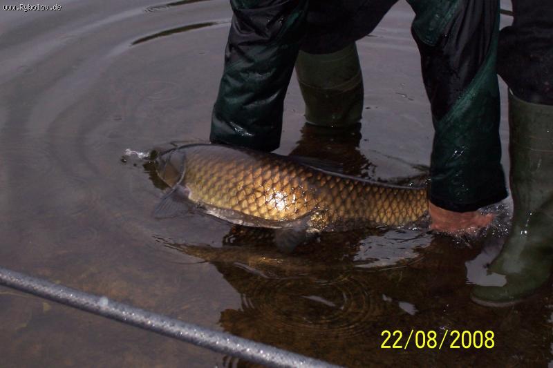 --�����! - ������� (����������)