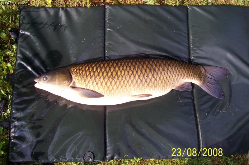 --��������� ������ . - ������� (����������)