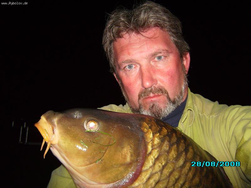 --���� 17.5��. - ������� (����������)