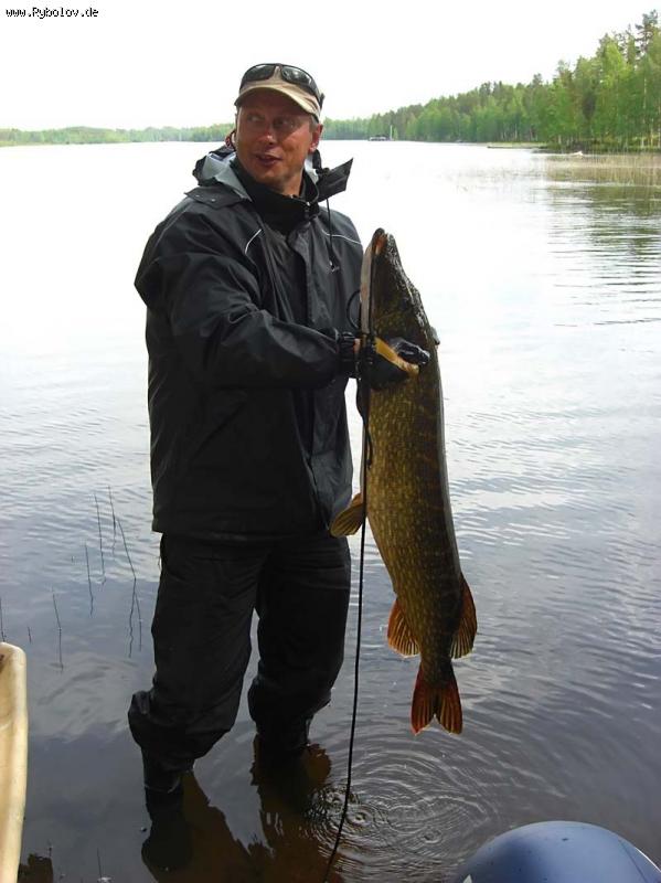 --����� ������ - ������� (����������)