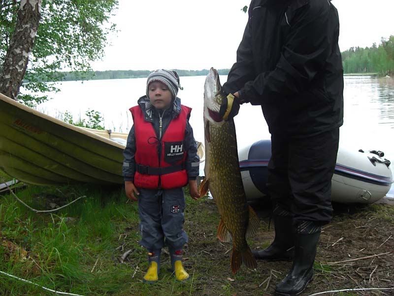 --�������� � ���� - ������� (����������)