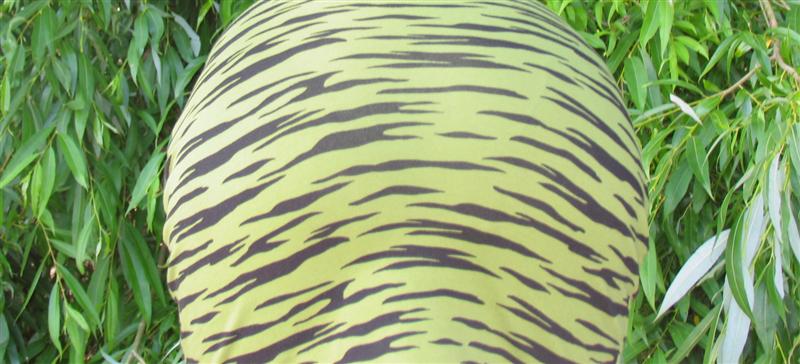 --��� �� ��� ������� ? - ������� (����������)