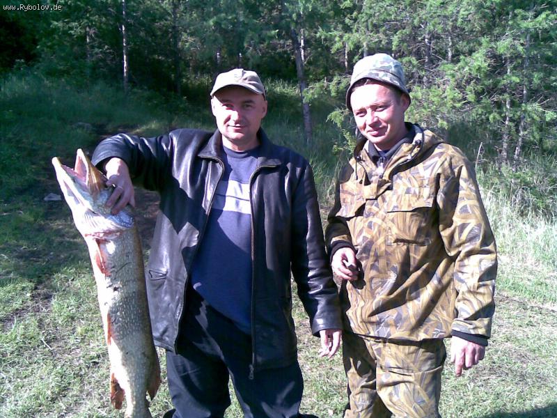 --���� 6,5 �� - ������� (����������)