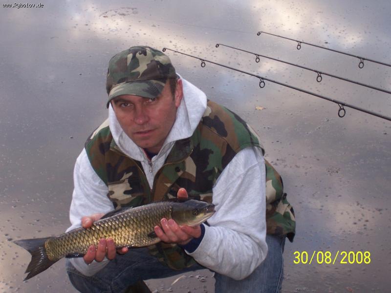 --�������. - ������� (����������)