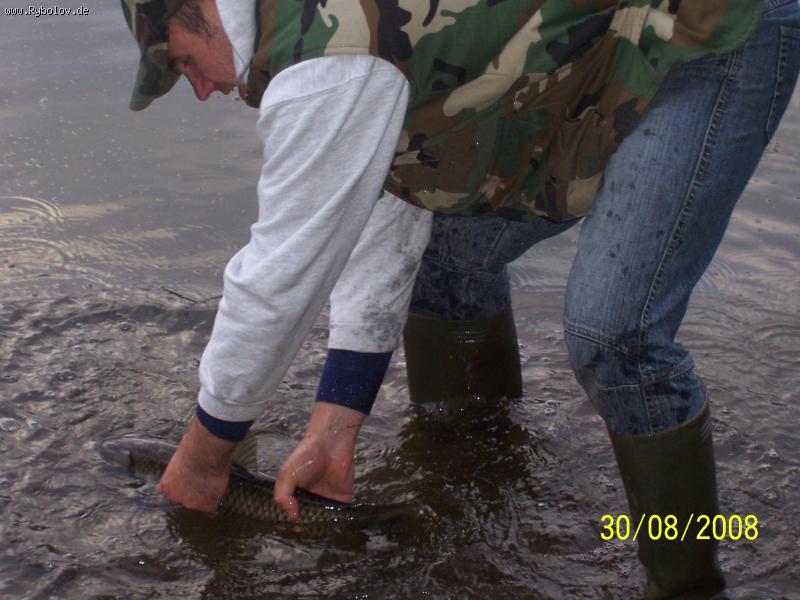 --�������. - ������� (����������)