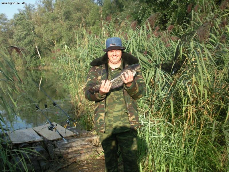 --����� - ������� (����������)