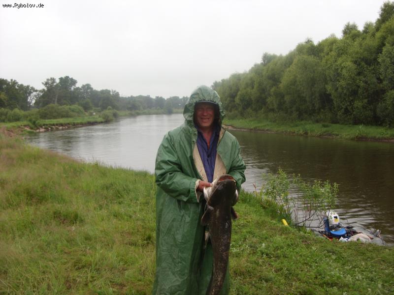 --��� ����� - ������� (����������)