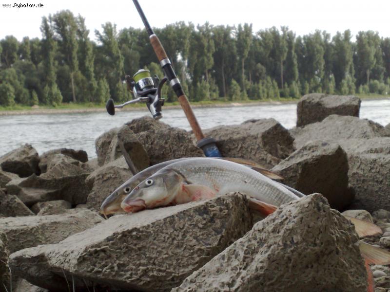 --Сестрёнки - рыбалка (фотоальбом)