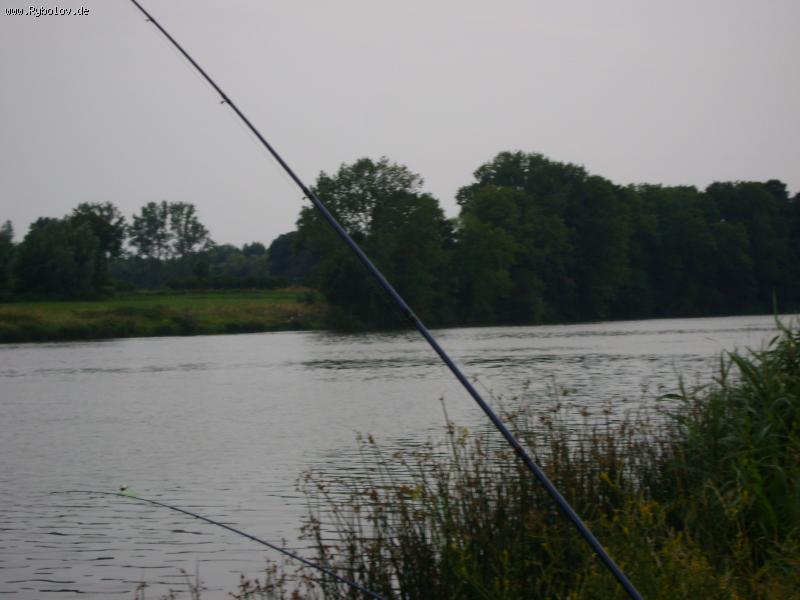 --������ ������� - ������� (����������)