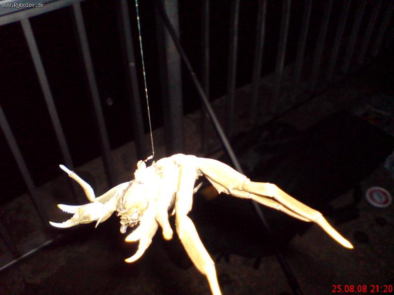 --�������� �������.. - ������� (����������)