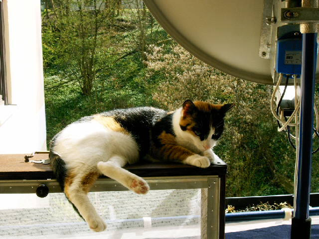 --����� ������� ��������. - ������� (����������)