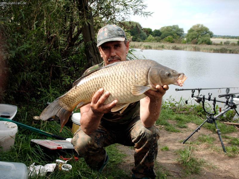 --Staroe mesto... - ������� (����������)