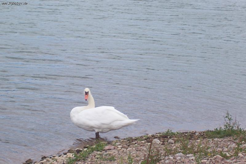 --������ ���Ψ��: - ������� (����������)