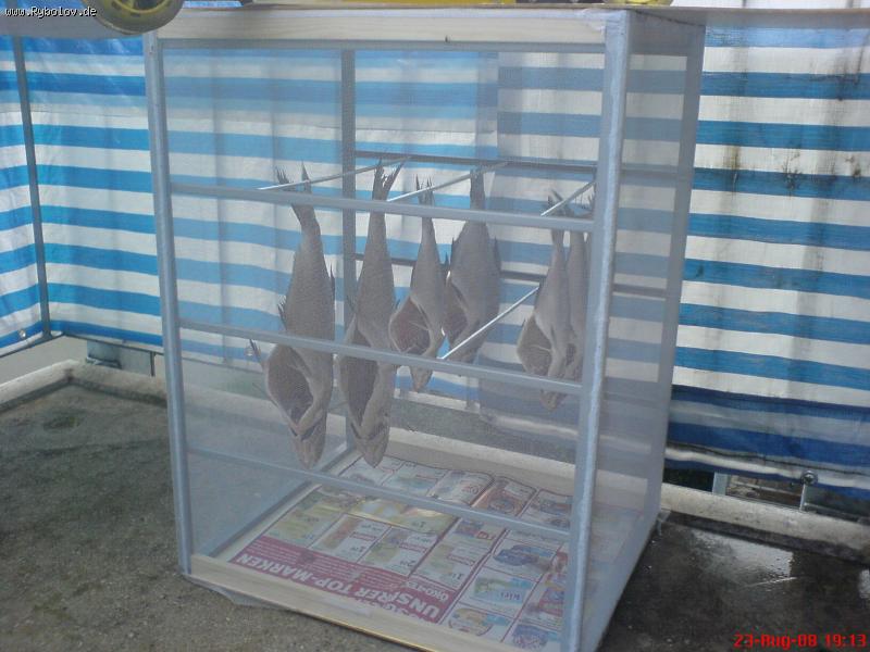 --����� - ������� (����������)