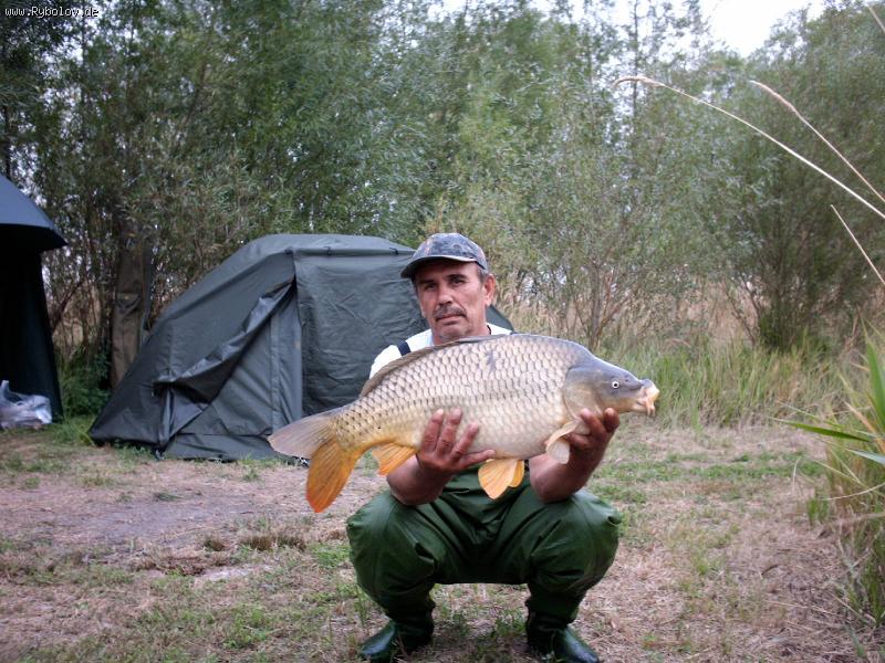 --�������� - ������� (����������)