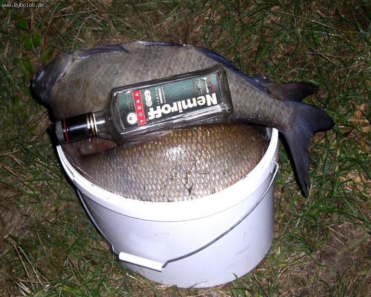 --����� ������� ������� - ������� (����������)