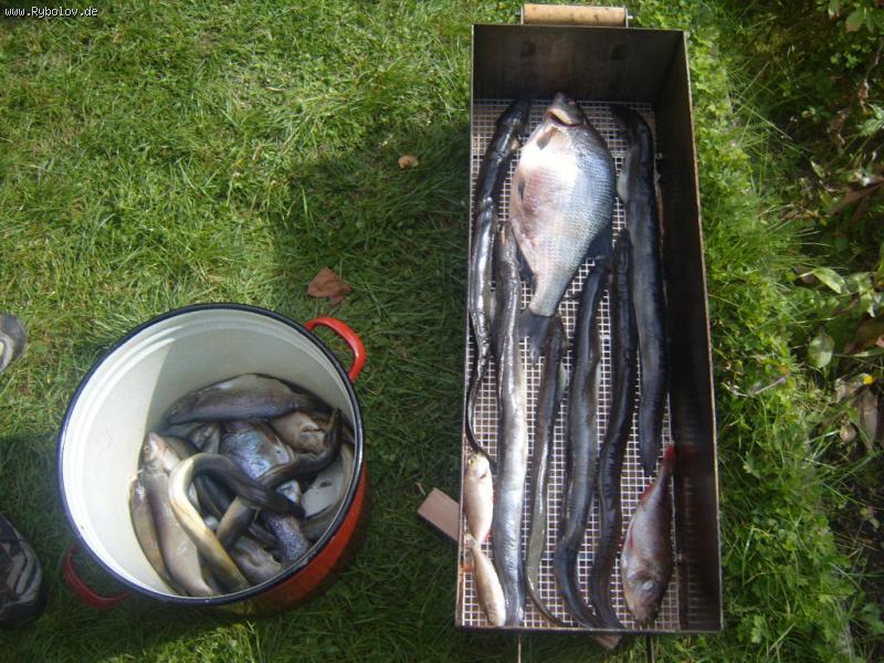 --����������� � ���������....�� ��������... - ������� (����������)