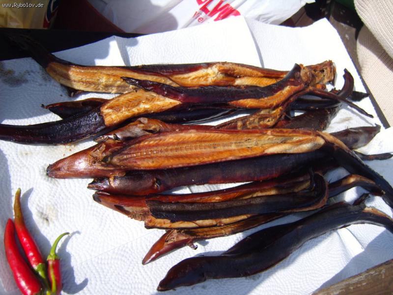 --����� ��������� ��������� ������������... - ������� (����������)