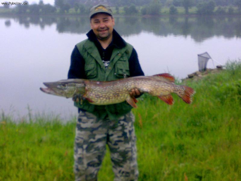 --�������� ���� - ������� (����������)