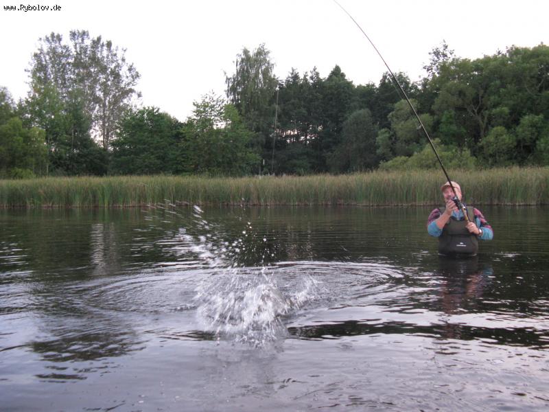 --��� ������ ���� - ������� (����������)