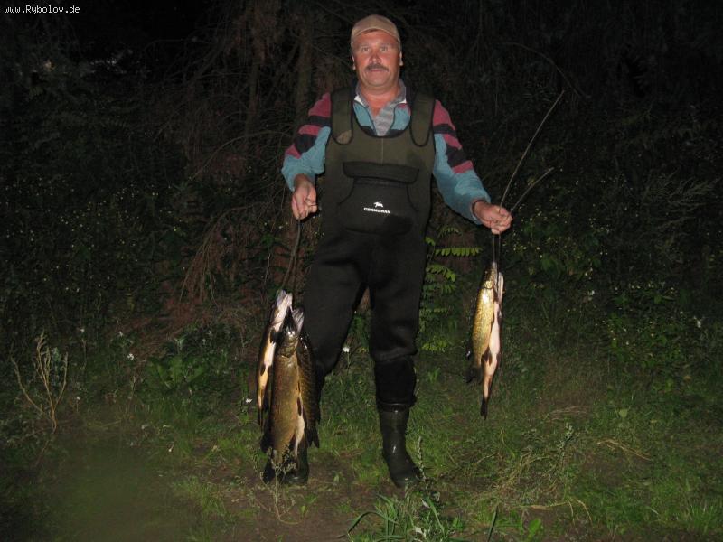 --������� ���� - ������� (����������)