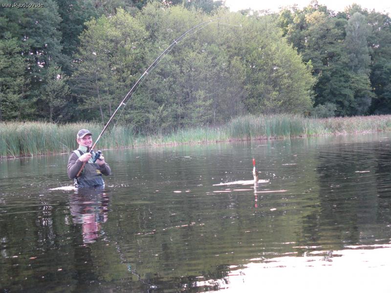 --���� ����! - ������� (����������)