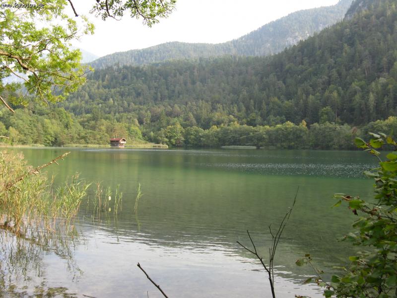 --���� ������� - ������� (����������)