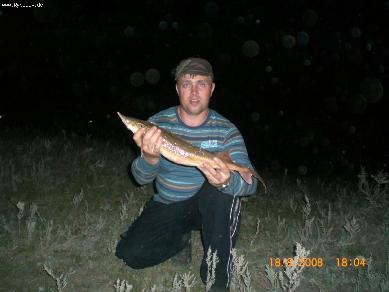 --��������� � ������� �� ������ ��������� - ������� (����������)