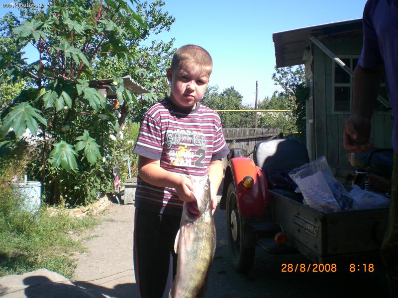 --���� ��� ����!!! - ������� (����������)