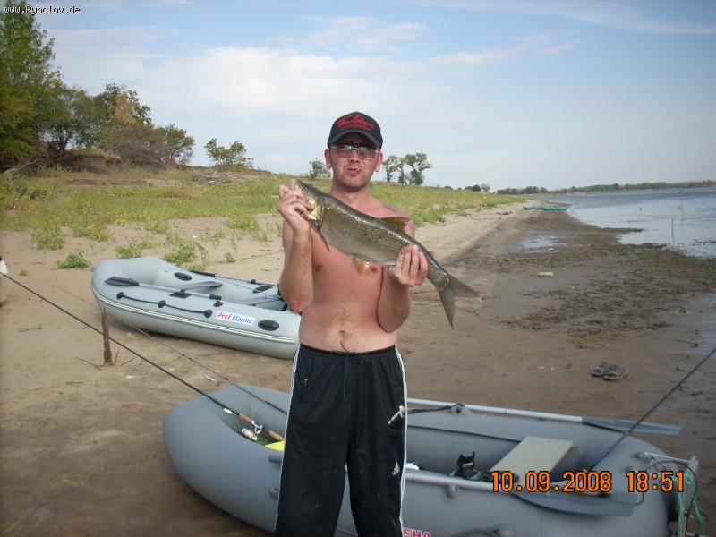 --����� - ������� (����������)