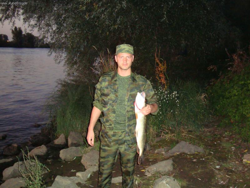 --���� - ������� (����������)