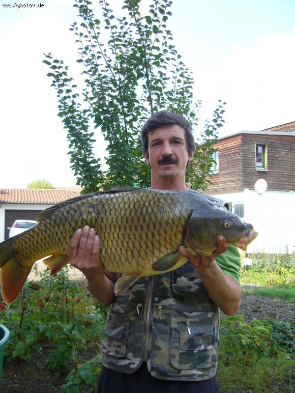 --�������,����� ��������. - ������� (����������)