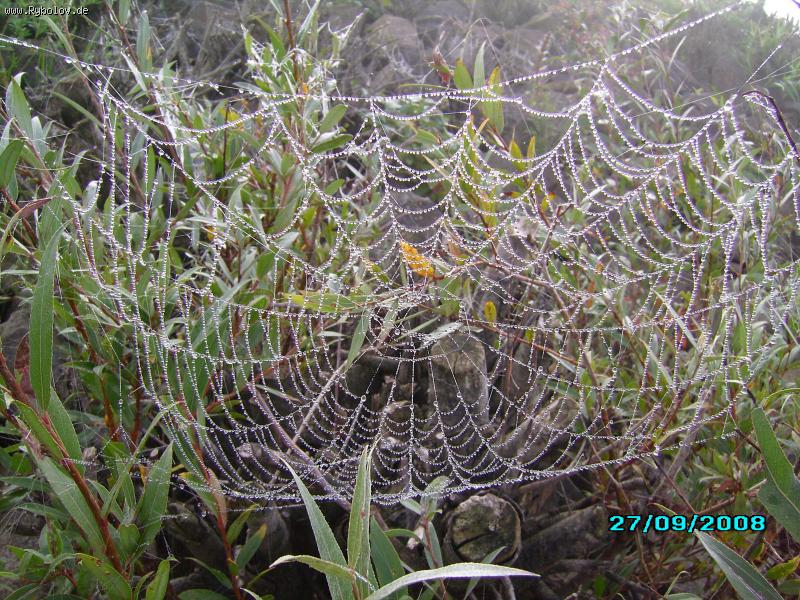 --������ ����� �� ��� �����. - ������� (����������)