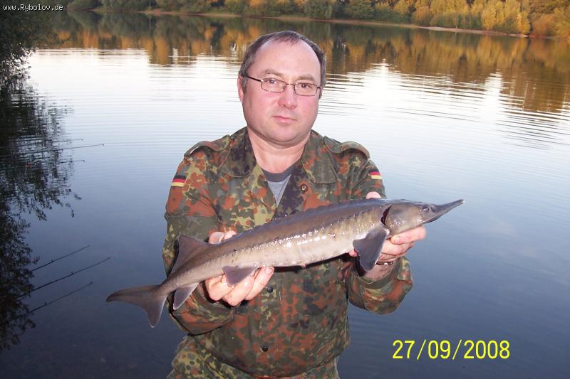 --�� � ��� ���� . - ������� (����������)