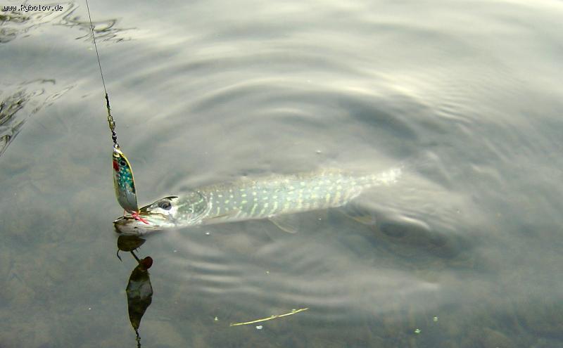 --��������� ����� ������ - ������� (����������)