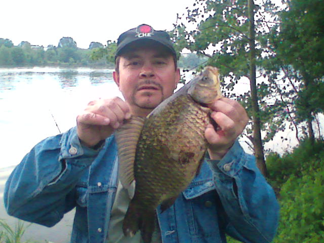 --������ ������ - ������� (����������)