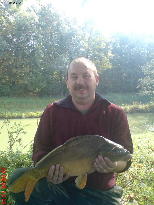 --���� �� 3.9��. - ������� (����������)