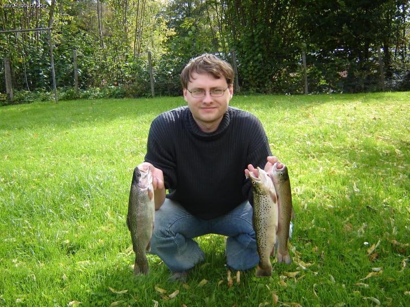 --forelle - ������� (����������)